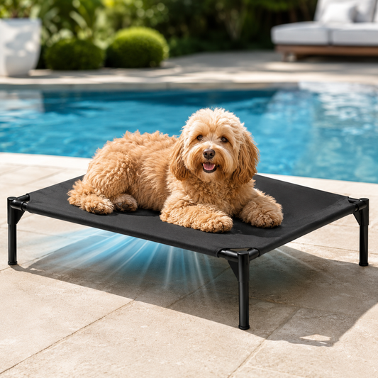 PawBreeze Elevated Cooling Bed