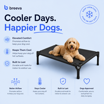 PawBreeze Elevated Cooling Bed