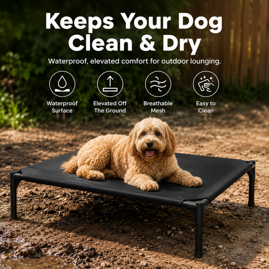 PawBreeze Elevated Cooling Bed