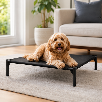 PawBreeze Elevated Cooling Bed